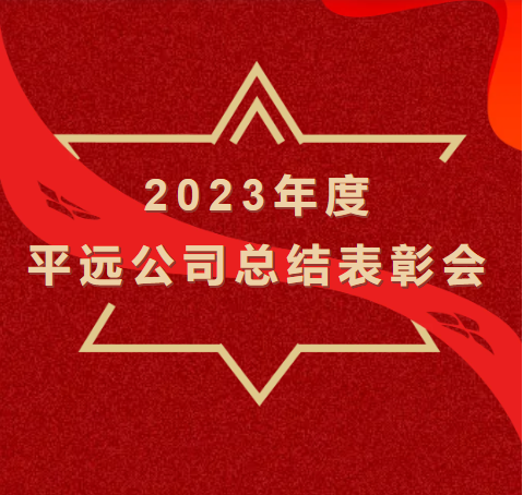 新平远 新气象∣平远公司2023年度总结表彰会圆满举办